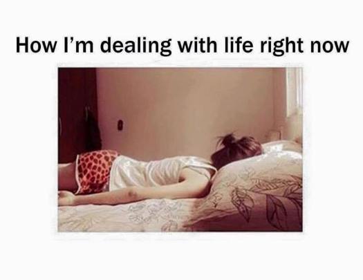 24129582_10215229708326226_7811204188386159196_n